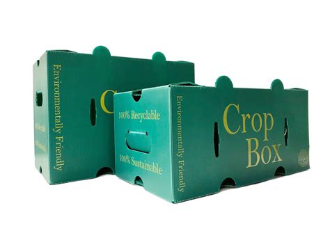 wholesale crop boxes